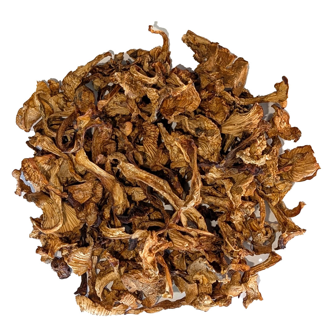Dried Chantrelle Mushrooms