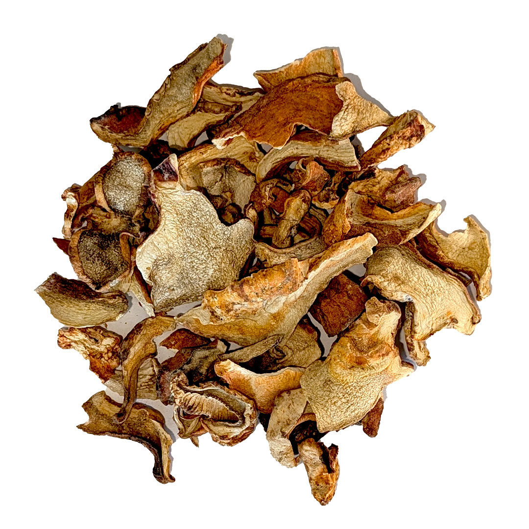 Dried Lobster Mushrooms