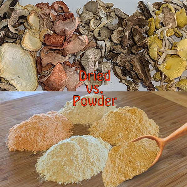 Dried Mushroom vs Fresh: Which is Better for Cooking?