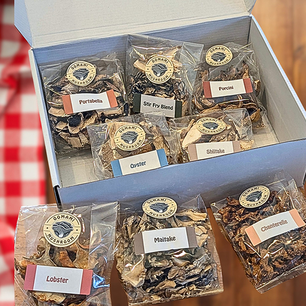 Why Dried Mushrooms are always in our (Cool, Dark) Pantry