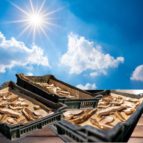 Why You Should Let Mushrooms Sit In The Sun Before Cooking Them