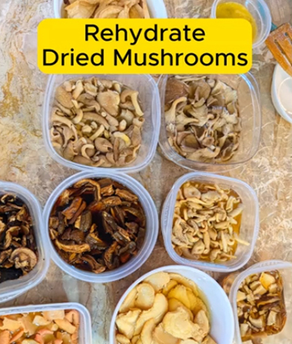 How to Rehydrate Mushrooms